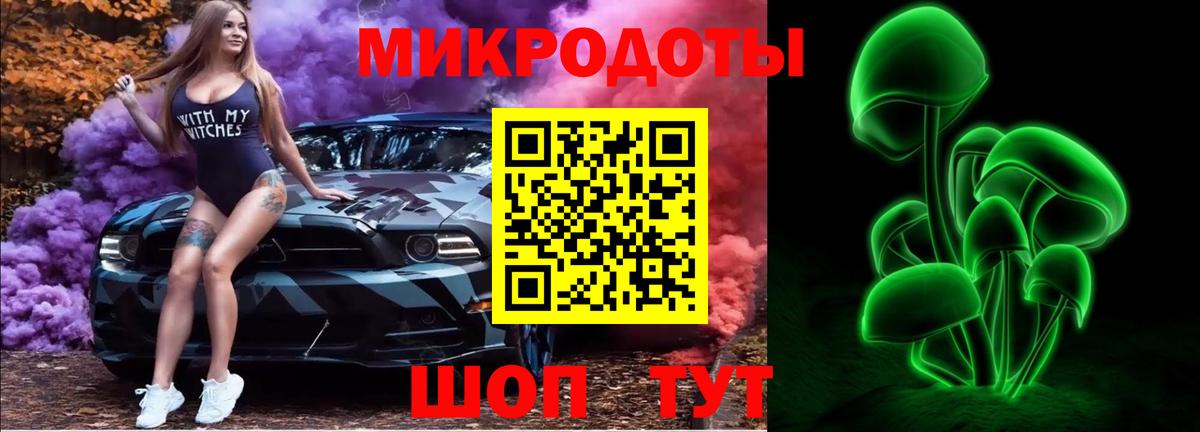 Псилоцибиновые грибы Psilocybe Нижнеудинск